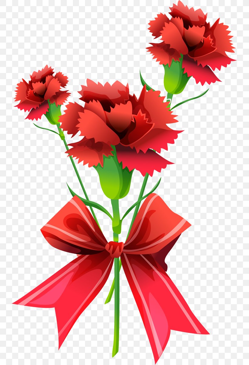 Pink Dianthus Pratensis Flower Information, PNG, 743x1200px, Pink, Ansichtkaart, Carnation, Cut Flowers, Floral Design Download Free