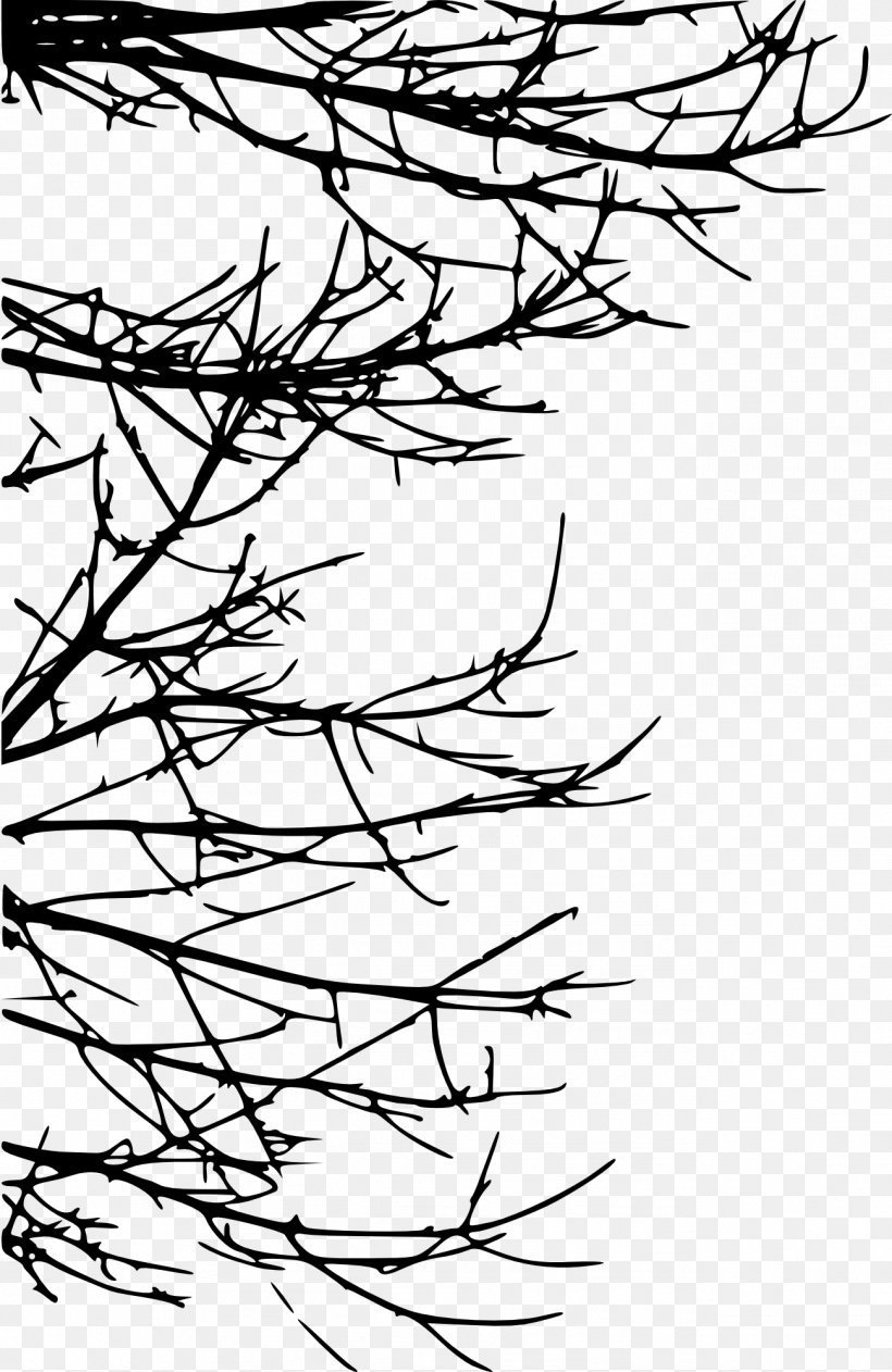 Branch Tree Twig Silhouette Drawing, PNG, 1299x2000px, Branch, Area, Artwork, Black, Black And White Download Free