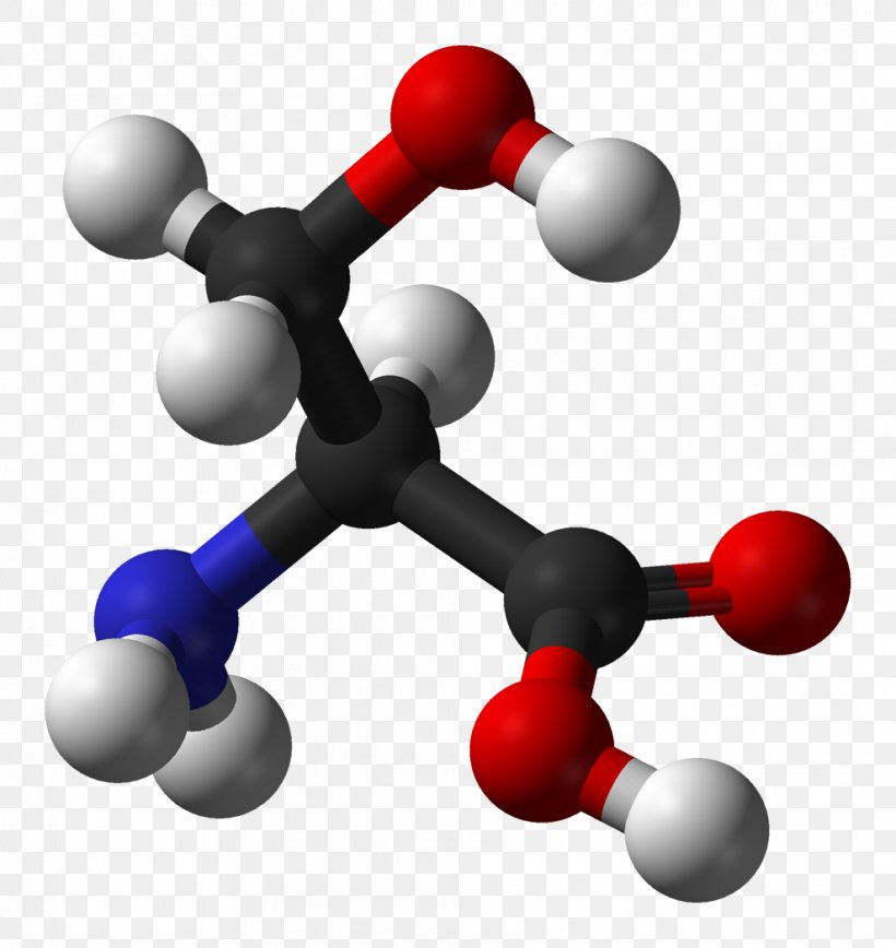 Cysteine Metabolism Amino Acid Cysteine Sulfinic Acid Acetylcysteine, PNG, 989x1047px, Cysteine, Acetylcysteine, Acid, Amino Acid, Ballandstick Model Download Free