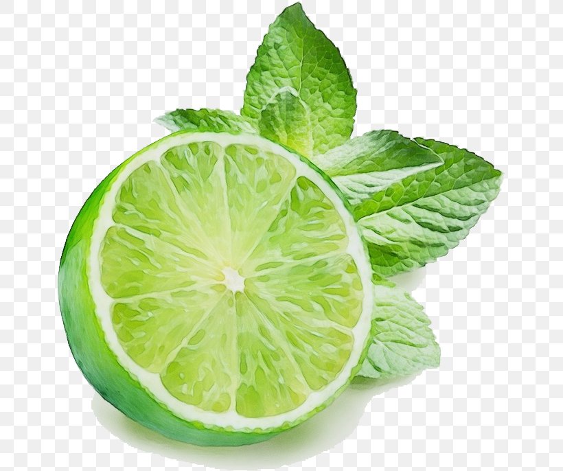 Lime Key Lime Leaf Plant Persian Lime, PNG, 652x686px, Watercolor, Citrus, Food, Fruit, Key Lime Download Free