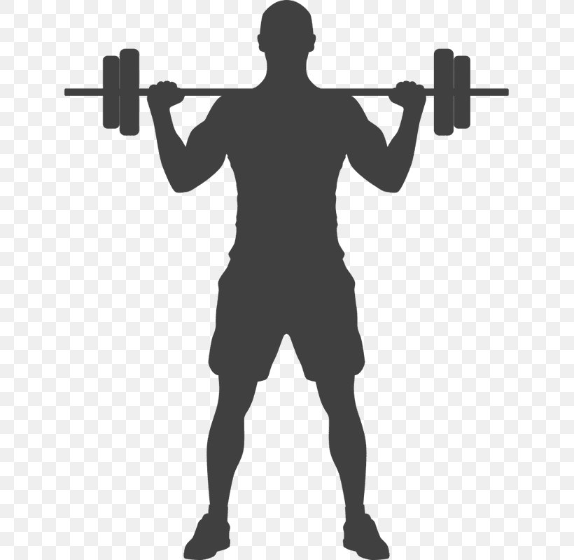 Fitness Centre Personal Trainer Exercise Physical Fitness General Fitness Training, PNG, 639x800px, Fitness Centre, Aerobics, Arm, Barbell, Biceps Curl Download Free