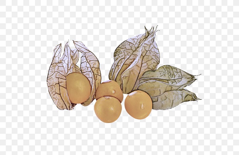 Peruvian Groundcherry Fruit Leaf Plant Nut, PNG, 800x533px, Peruvian Groundcherry, Food, Fruit, Leaf, Legume Download Free