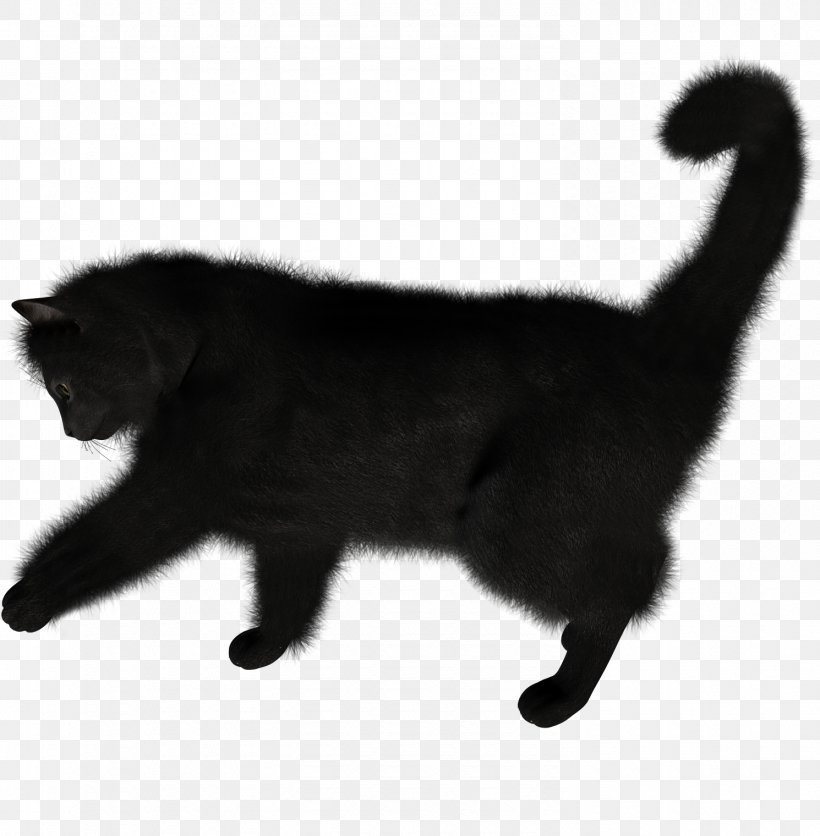 Black Cat Kitten, PNG, 1490x1520px, Cat, Black, Black And White, Black Cat, Bombay Download Free