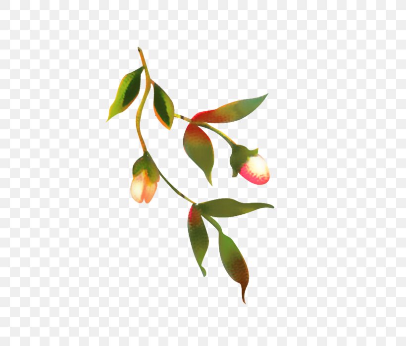 Image Vector Graphics Design, PNG, 456x699px, Creativity, Animation, Branch, Designer, Flower Download Free