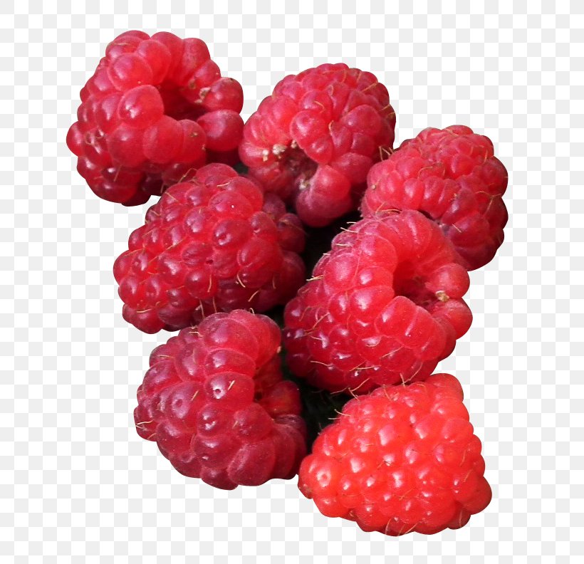Raspberry Frutti Di Bosco Tayberry Boysenberry Loganberry, PNG, 766x792px, Raspberry, Berry, Blackberry, Boysenberry, Dewberry Download Free