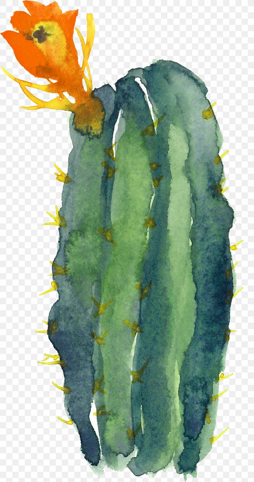 Cactaceae Modern Watercolor: A Playful And Contemporary Exploration Of Watercolor Painting, PNG, 1293x2450px, Cactaceae, Birthday, Birthday Card, Cactus, Canvas Print Download Free