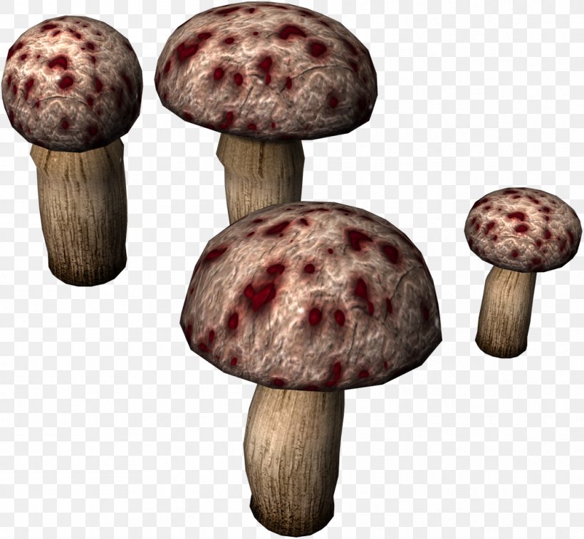 Mushroom Toad Clip Art, PNG, 1038x959px, Mushroom, Common Mushroom, Drawing, Edible Mushroom, Fungus Download Free