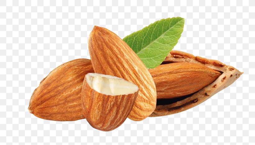Nuts Almond Dried Fruit, PNG, 1024x585px, Nut, Almond, Apricot Kernel, Auglis, Commodity Download Free
