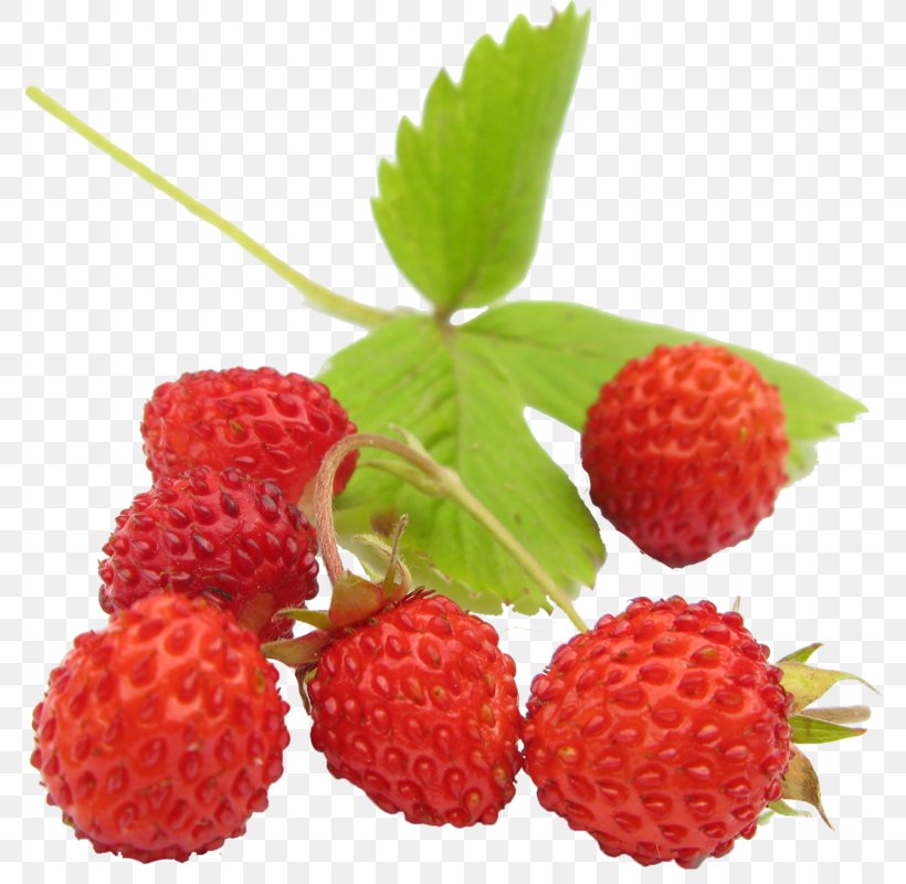 Wild Strawberry Amorodo Slatko, PNG, 778x800px, Strawberry, Accessory Fruit, Amorodo, Auglis, Berry Download Free
