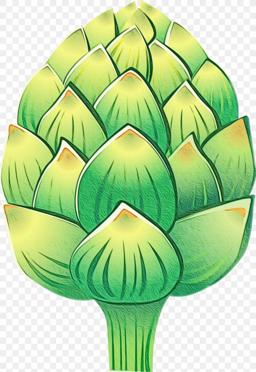 Artichoke Green Cynara Leaf Plant, PNG, 882x1280px, Watercolor, Artichoke, Cynara, Green, Leaf Download Free