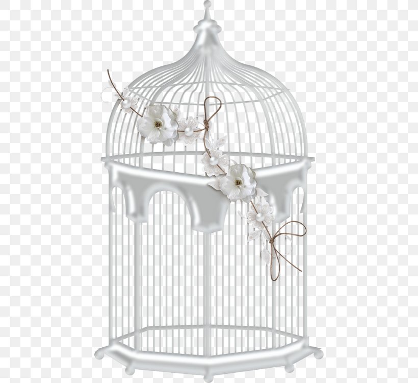 Birdcage, PNG, 450x750px, Cage, Bed Frame, Bird, Birdcage, Flower Download Free