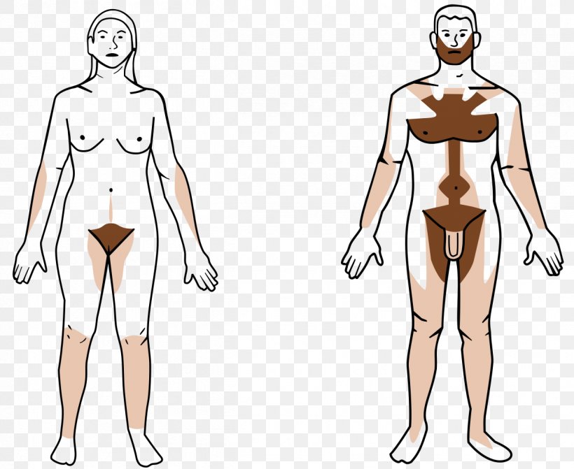 Body Hair Pubic Hair Human Body Hair Follicle Hair Removal, PNG, 1251x1024px, Watercolor, Cartoon, Flower, Frame, Heart Download Free