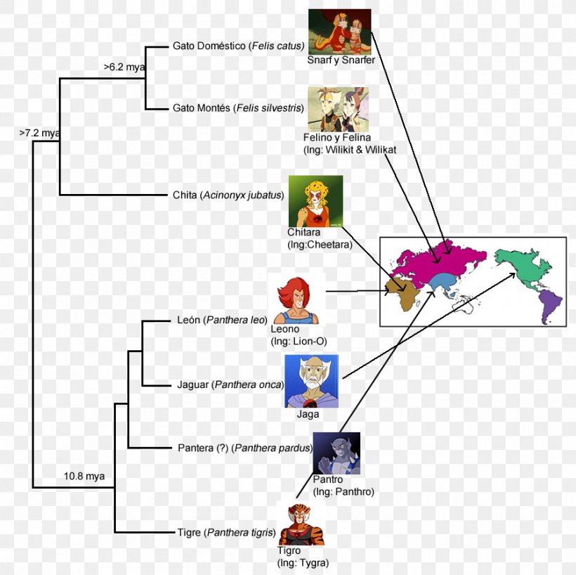 Panthro Character Name Phylogenetics Diagram, PNG, 900x898px, Panthro, Adaptation, Area, Character, Diagram Download Free