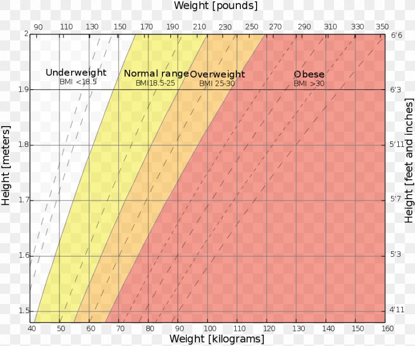 Weight And Height Percentile Body Mass Index Growth Chart Human Height Human Body Weight, PNG, 922x768px, Weight And Height Percentile, Adipose Tissue, Area, Body Mass Index, Calculation Download Free