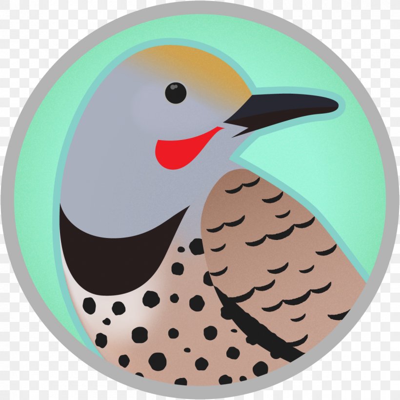 Woodpecker Bird Image Northern Flicker, PNG, 1200x1200px, Woodpecker, Beak, Bird, Color, Flickers Download Free