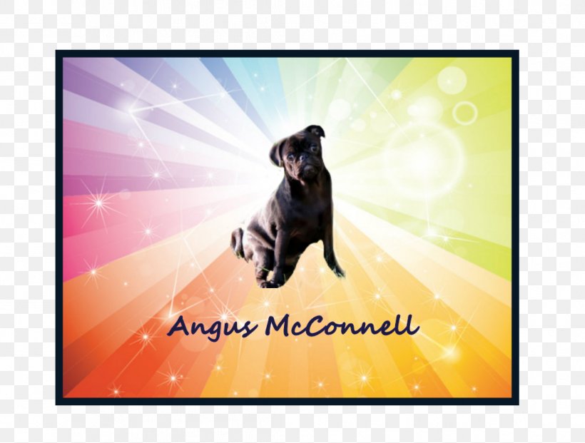 Dog Breed Advertising Stock Photography Desktop Wallpaper, PNG, 1057x801px, Dog Breed, Advertising, Breed, Carnivoran, Computer Download Free