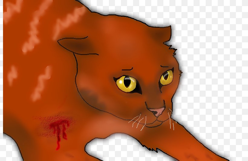 Whiskers Kitten Lion Cat Art, PNG, 800x533px, Watercolor, Cartoon, Flower, Frame, Heart Download Free