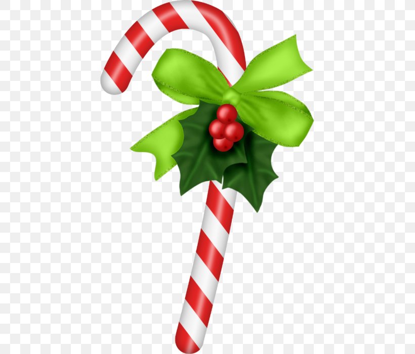 Candy Cane Christmas Ornament Stick Candy Clip Art, PNG, 423x700px, 2014, Candy Cane, Aquifoliaceae, Aquifoliales, Bastone Download Free