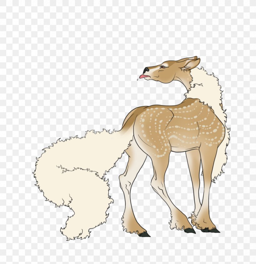 Giraffe Mammal Springbok Mustang Deer, PNG, 879x908px, Giraffe, Antelope, Camel, Camel Like Mammal, Canidae Download Free
