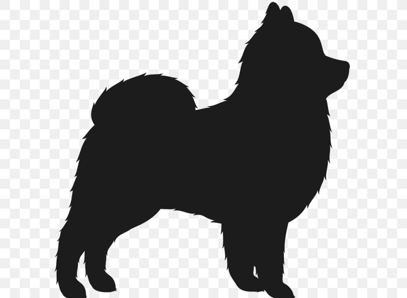 Schipperke Eurasier Pomeranian Finnish Spitz Puppy, PNG, 600x600px, Schipperke, Black, Black And White, Breed, Carnivoran Download Free