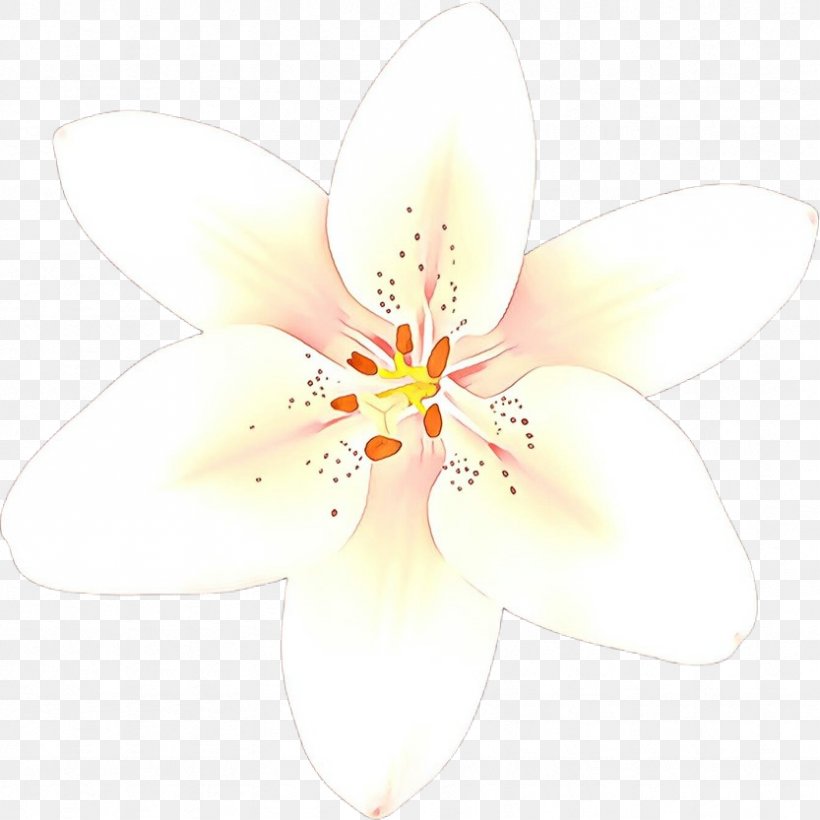 White Petal Flower Plant Wildflower, PNG, 833x833px, Cartoon, Blossom, Flower, Flowering Plant, Pedicel Download Free