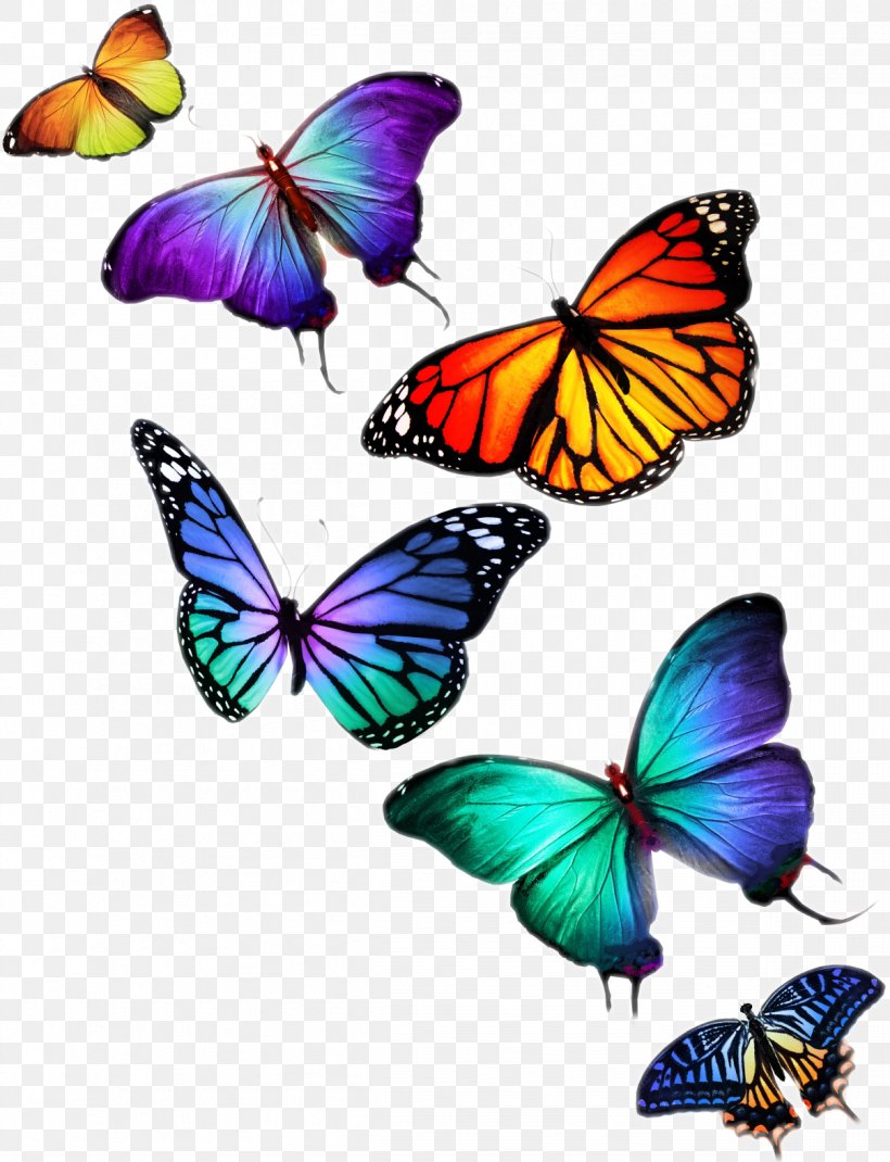 Butterfly Stock Photography Desktop Wallpaper, PNG, 1207x1575px, Butterfly, Brush Footed Butterfly, Drawing, Insect, Invertebrate Download Free