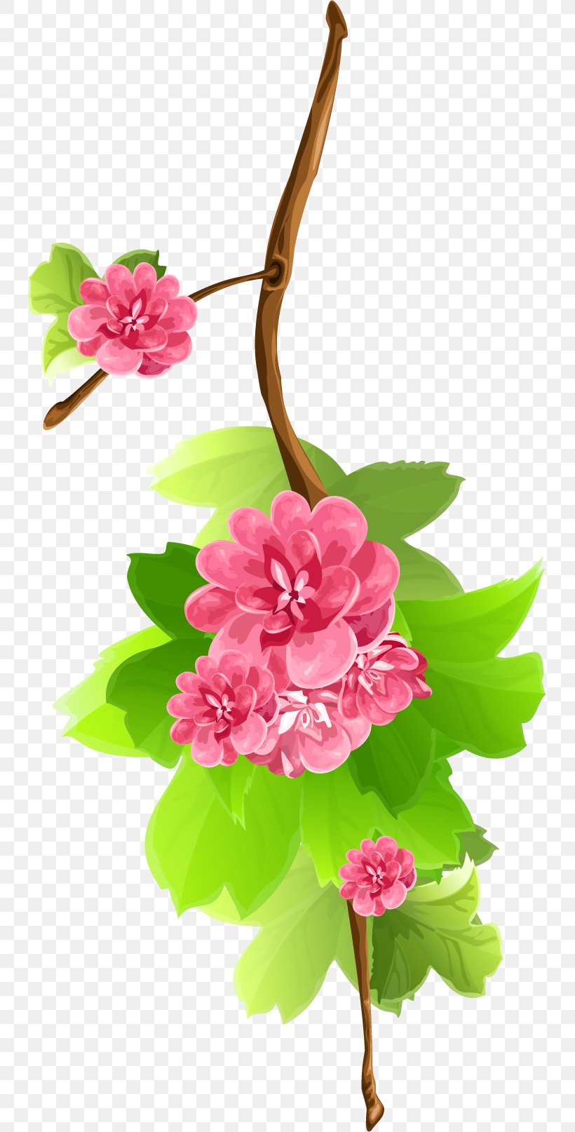 Flower Clip Art, PNG, 739x1614px, Flower, Annual Plant, Art, Blossom, Branch Download Free