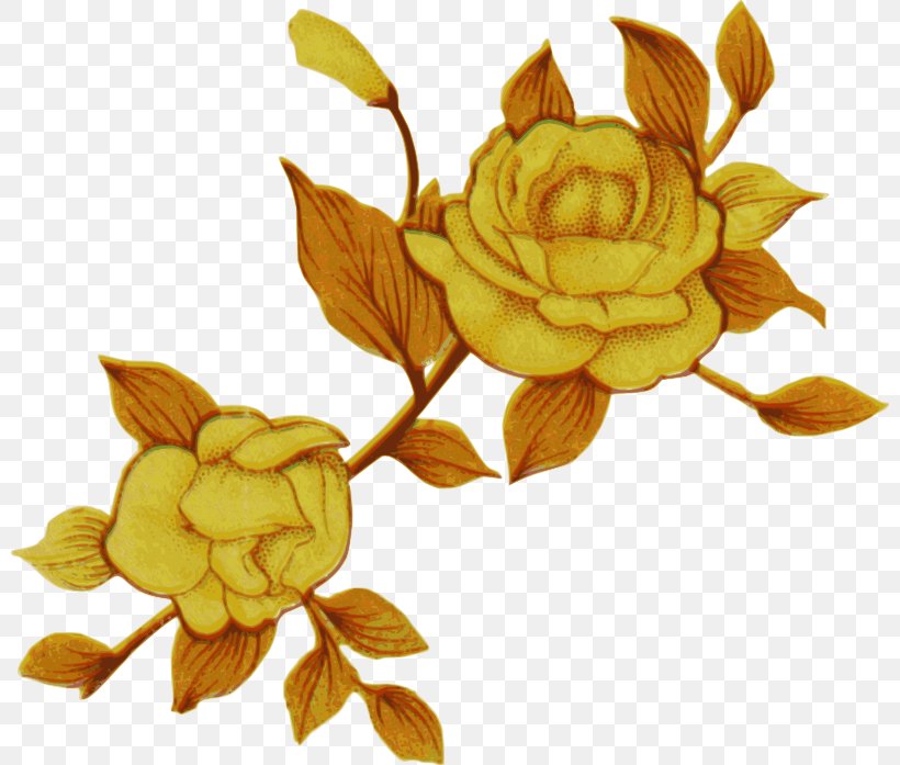 Flower Windows Metafile Yellow Clip Art, PNG, 800x697px, Flower, Cut Flowers, Floral Design, Flowering Plant, Libreoffice Download Free