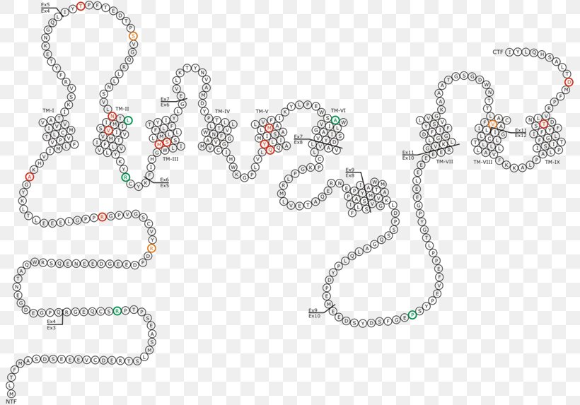 Presenilin PSEN2 PSEN1 Alzheimer's Disease Mutation, PNG, 805x573px, Presenilin, Amyloid Beta, Amyloid Precursor Protein, Art, Body Jewelry Download Free