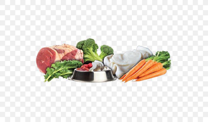 Raw Foodism Dog Raw Feeding Leaf Vegetable, PNG, 535x480px, Raw Foodism, Cuisine, Diet, Diet Food, Dish Download Free