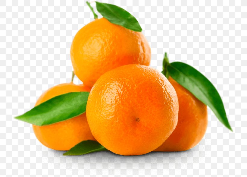 Mandarin Orange Clementine Tangerine Tangelo Fruit, PNG, 737x587px, Mandarin Orange, Auglis, Berry, Bitter Orange, Calamondin Download Free