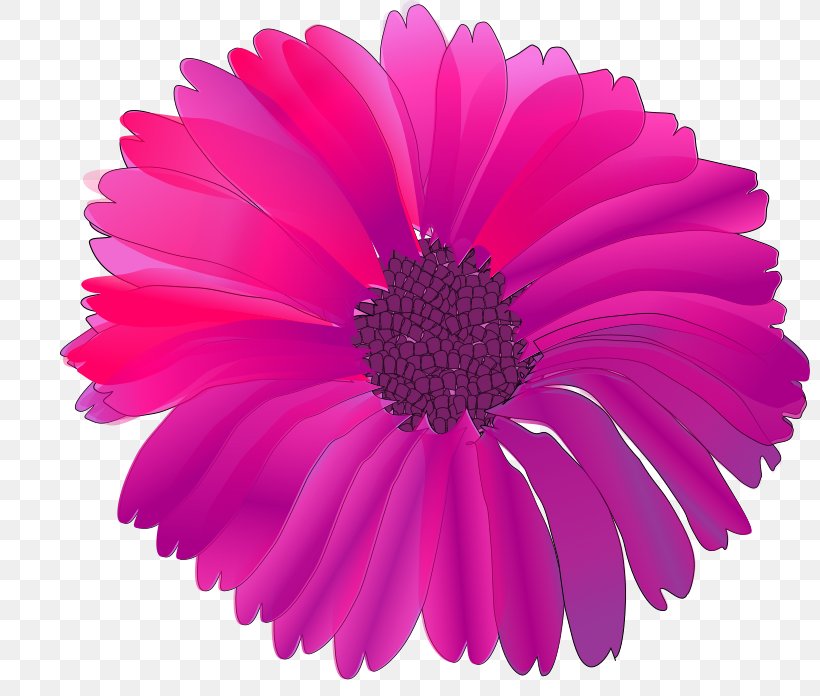 Pink Flowers Clip Art, PNG, 800x696px, Flower, Annual Plant, Aster, Chrysanths, Copyright Download Free