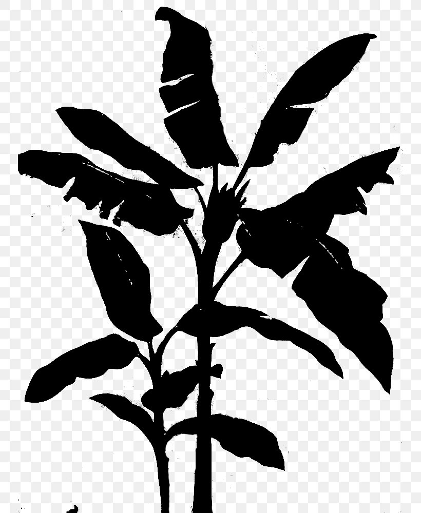 Image Illustration Clip Art Painting, PNG, 750x1000px, Painting, Blackandwhite, Botany, Cartoon, Copyright Download Free