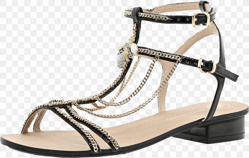 Shoe Sandal, PNG, 1358x866px, Shoe, Footwear, Sandal Download Free