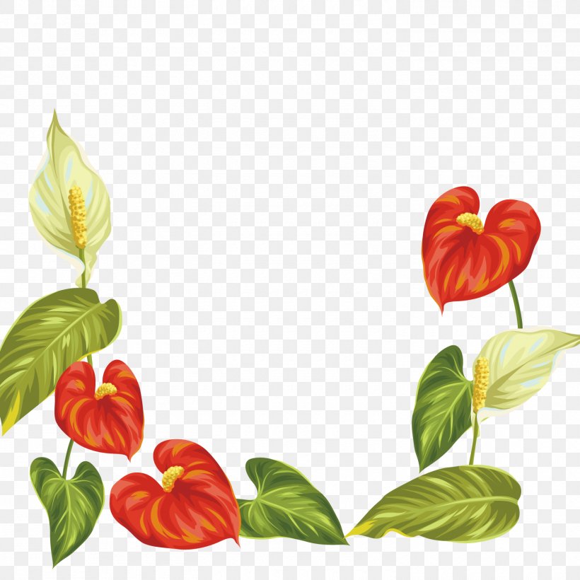 Vector Graphics Royalty-free Illustration Laceleaf Image, PNG, 1500x1500px, Royaltyfree, Flower, Flowering Plant, Istock, Laceleaf Download Free