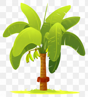 Banana Tree - Illustrated Banana Tree PNG