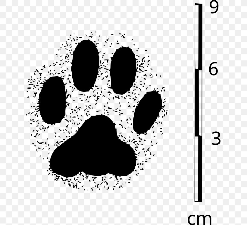 Cat Chihuahua Paw Pet Dog Grooming, PNG, 645x745px, Cat, Black, Black And White, Bone, Chihuahua Download Free