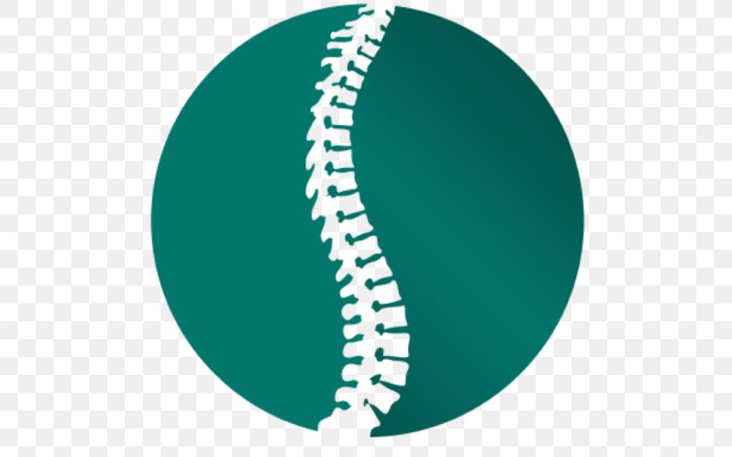 Chiropractic Vertebral Column Scoliosis Health Care Sports Injury, PNG, 512x512px, Chiropractic, Aqua, Clinic, Health, Health Care Download Free