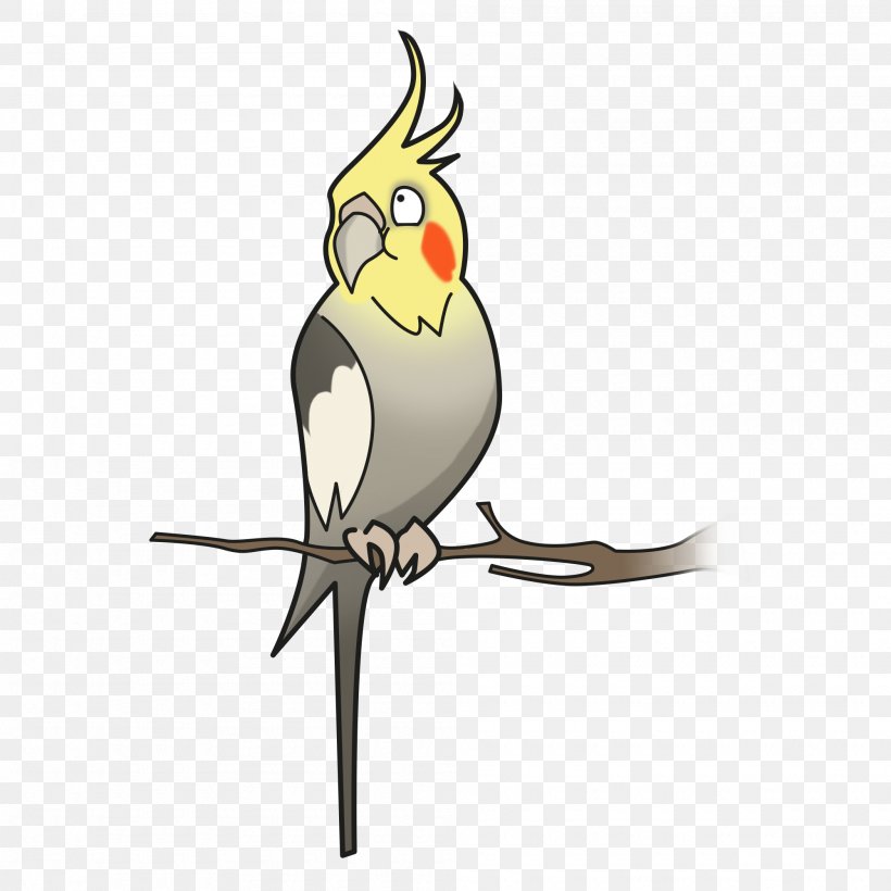 Cockatiel Bird Parakeet Cockatoo Pet, PNG, 2000x2000px, Cockatiel, Animal, Beak, Bird, Branch Download Free