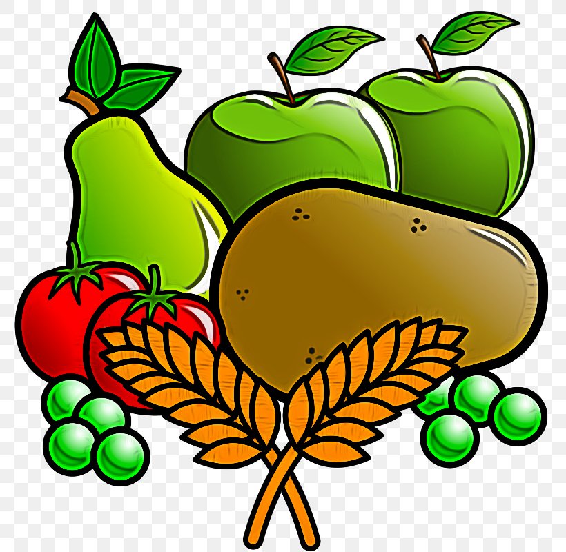 Green Fruit Clip Art Leaf Plant, PNG, 800x800px, Green, Apple, Fruit, Leaf, Natural Foods Download Free
