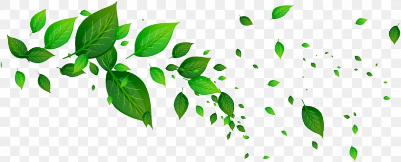 Leaf Green, PNG, 2629x1065px, Leaf, Color, Flora, Grass, Green Download Free