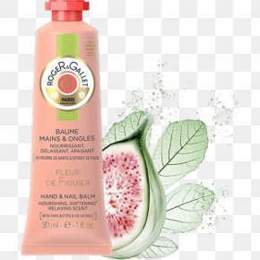 Perfume - Lotion Perfume Roger & Gallet Shower Gel Cosmetics PNG