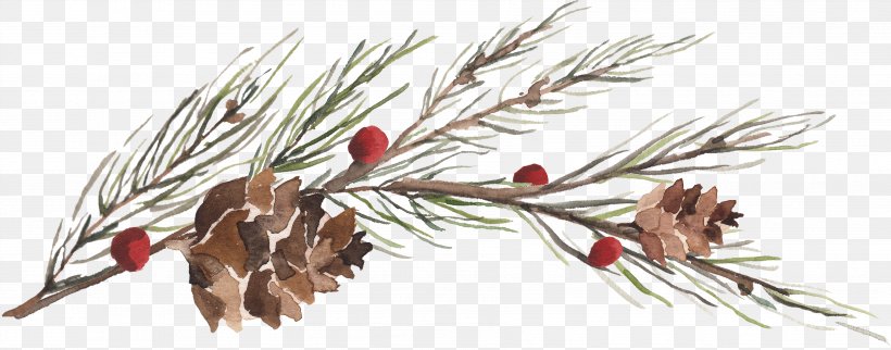 Watercolor Painting Drawing Clip Art, PNG, 3588x1412px, Watercolor Painting, Branch, Christmas, Christmas Ornament, Color Download Free