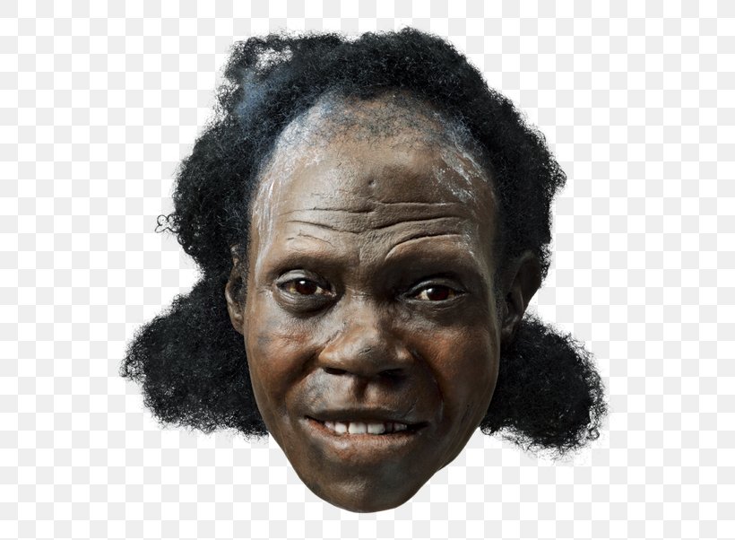 Early Human Migrations Neandertal Anatomically Modern Human Flores Man Archaic Humans, PNG, 602x602px, Early Human Migrations, Anatomically Modern Human, Ape, Archaic Humans, Cheek Download Free