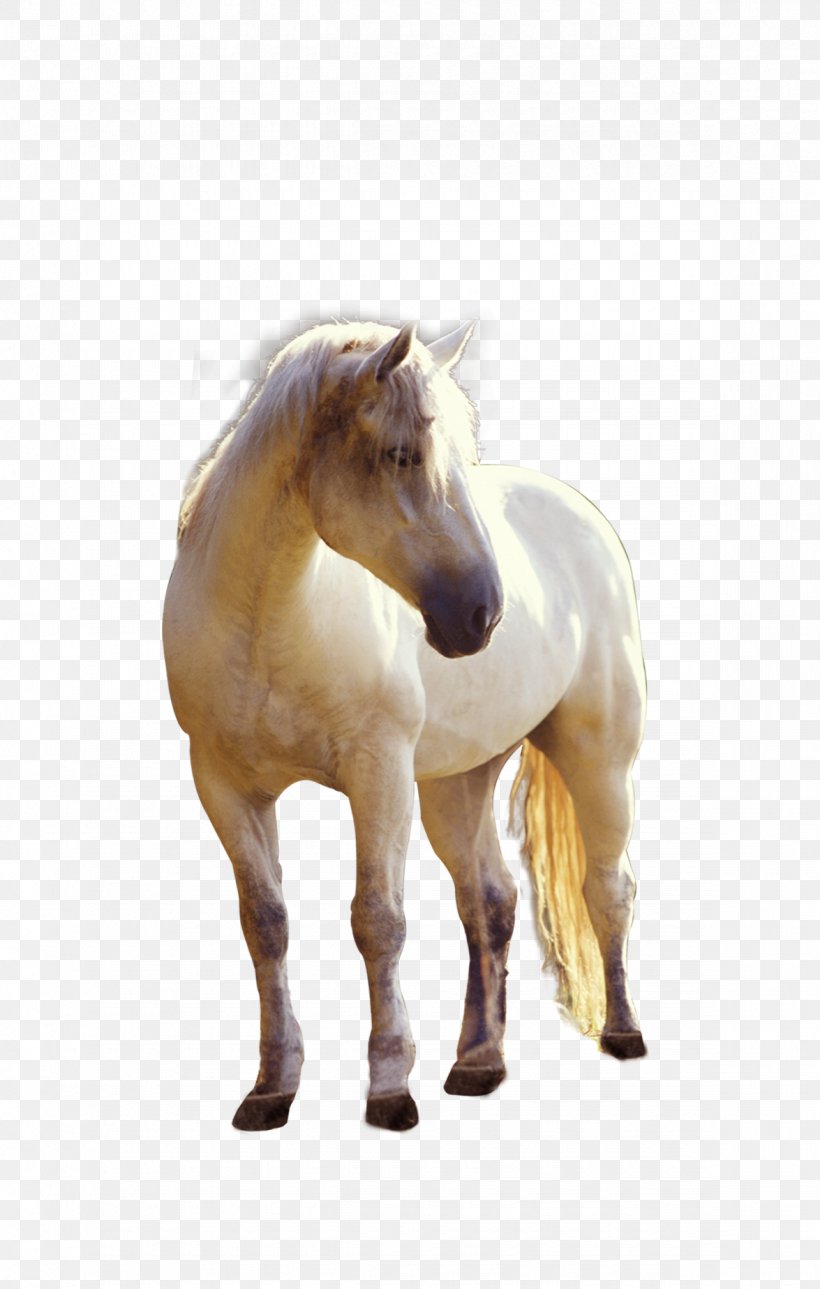 Horse Foal Stallion, PNG, 1175x1848px, Horse, Animal Figure, Figurine, Foal, Gratis Download Free