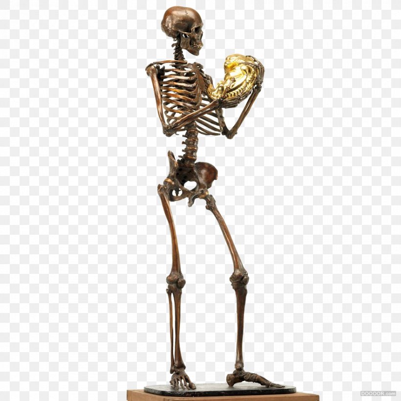 Human Skeleton Sculpture Human Body U9ab7u9ac5, PNG, 880x880px, Skeleton, Art, Bone, Bronze Sculpture, Drawing Download Free