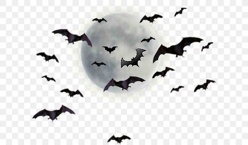 Joseph N. Goff House Museum And Cultural Center Supermoon Clip Art, PNG, 612x480px, Supermoon, Animal Migration, Bat, Beak, Bird Download Free