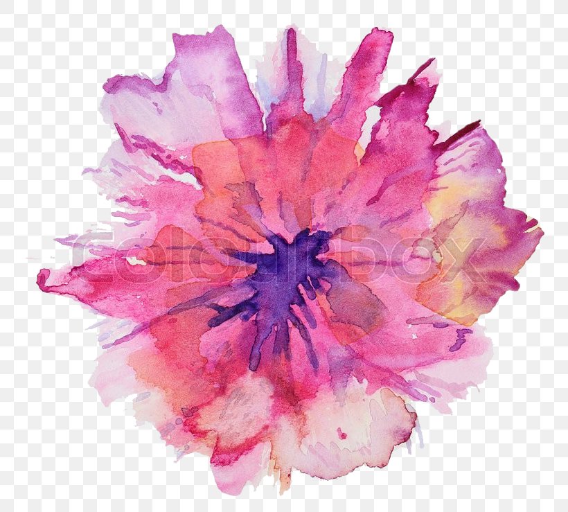 Watercolour Flowers Watercolor Painting Art Drawing, PNG, 800x739px, Watercolour Flowers, Abstract Art, Art, Art Museum, Color Download Free