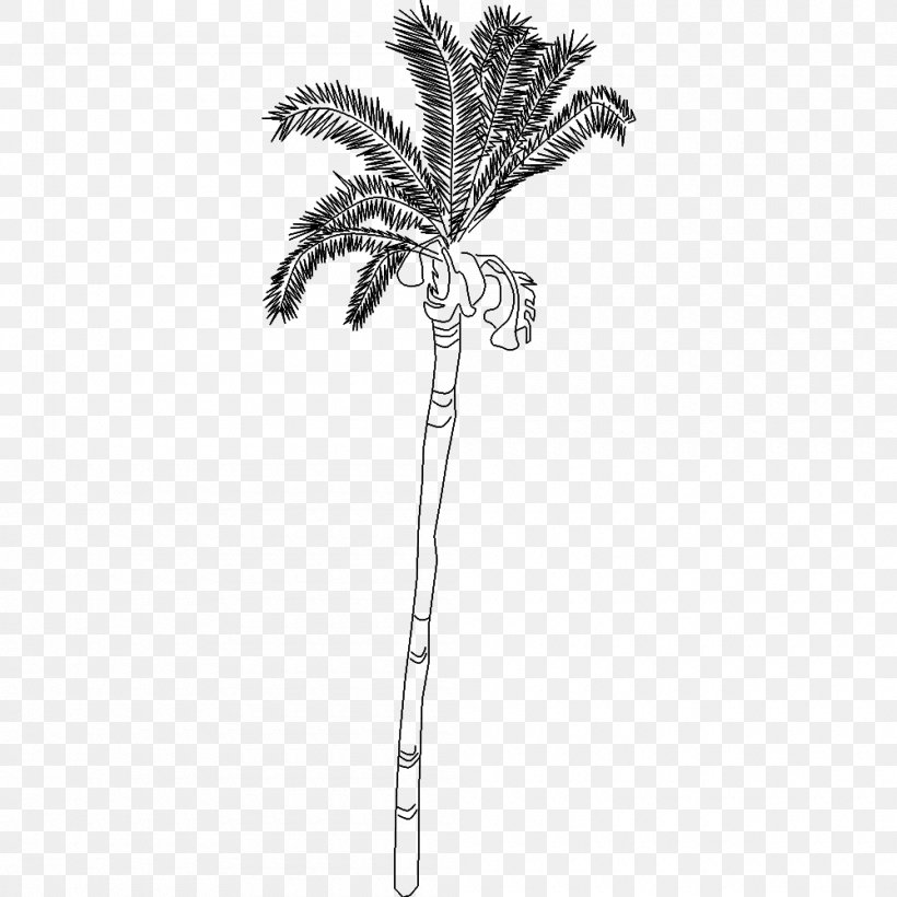 Arecaceae Twig Plant Stem Leaf, PNG, 1000x1000px, Arecaceae, Arecales, Black And White, Branch, Flowering Plant Download Free