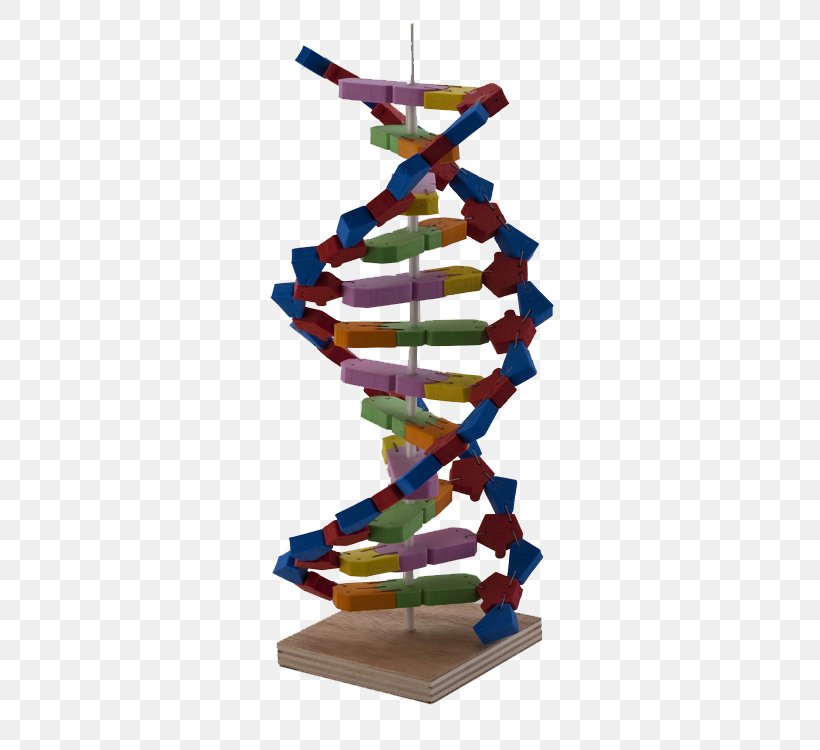 DNA Science Experiment Nucleotide Material, PNG, 500x750px, Dna, Chemical Compound, Dna Replication, Experiment, Genetics Download Free